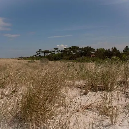 Appartement Dune Nest